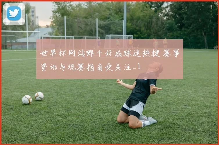 世界杯网站哪个好成球迷热搜 赛事资讯与观赛指南受关注_1