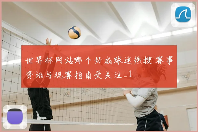 世界杯网站哪个好成球迷热搜 赛事资讯与观赛指南受关注_1